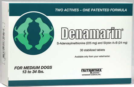 Denamarin medium dog store dose