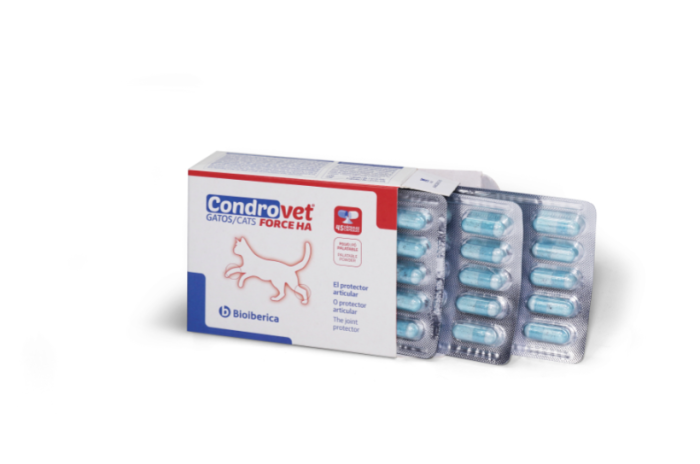 Condrovet Force HA Gatos/Cats