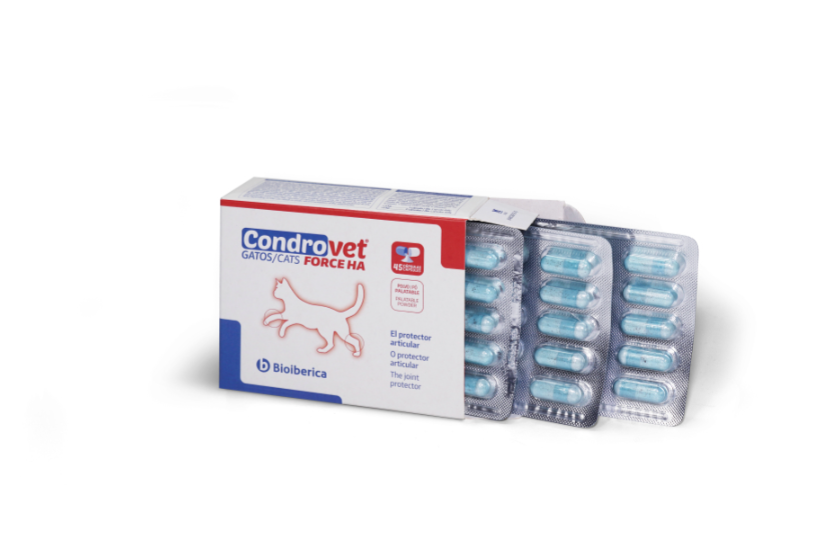 Condrovet Force HA Gatos/Cats